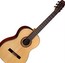 Guitar 結他