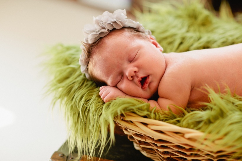 我名叫虾虾  Baby 虾仔虾女