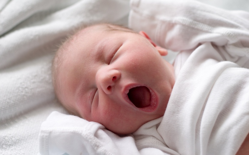 我名叫虾虾  Baby 虾仔虾女