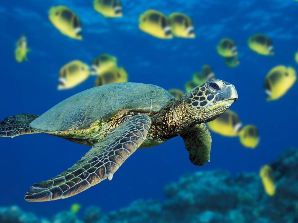 海陆8景分享  World Travel 世界旅遊
