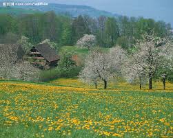 荷兰风景  World Travel 世界旅遊