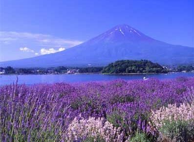 北海道風景  World Travel 世界旅遊