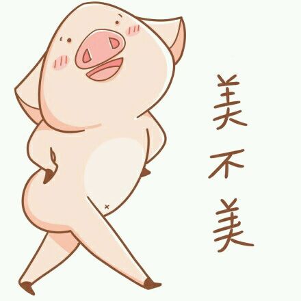 美丽小猪  Pets 寵物護理 +紀念堂