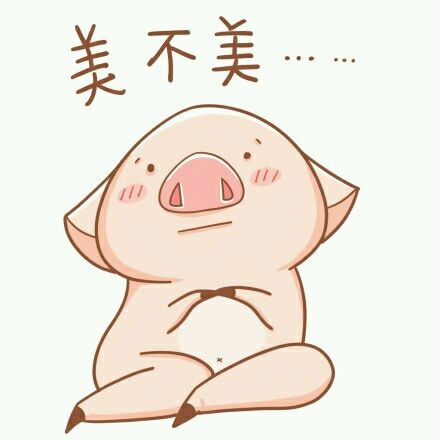 美丽小猪  Pets 寵物護理 +紀念堂