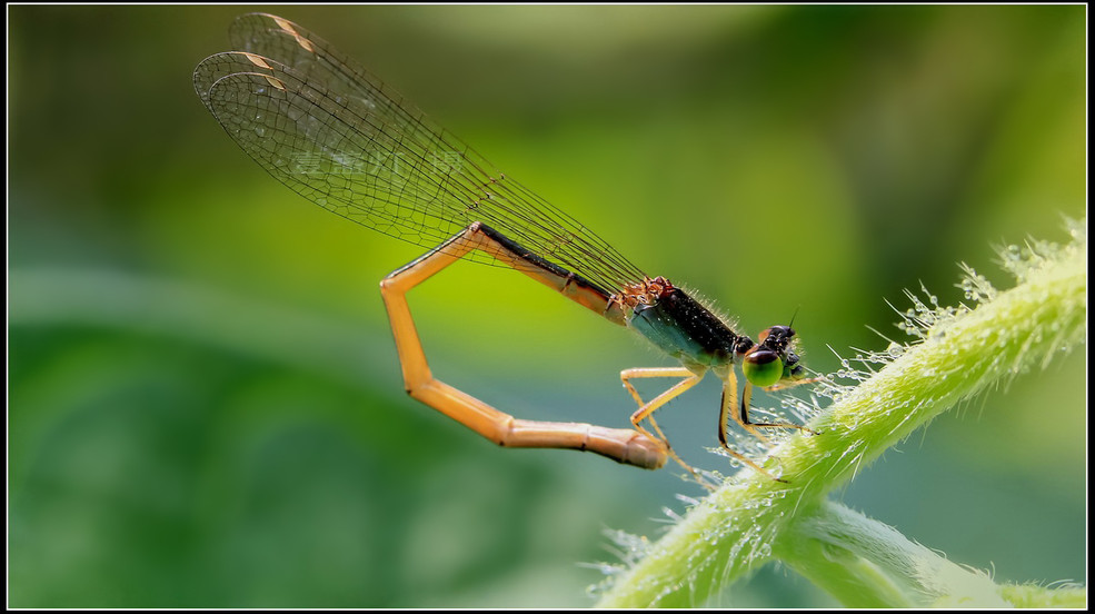 Canon EOS 60D .....曝光  Photography 攝影特區