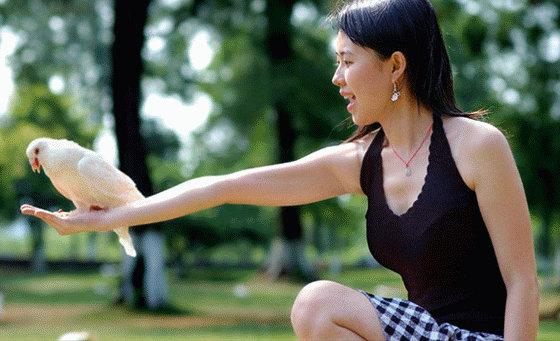 淑女之家 , 淫妹唔該  Sexy People 俊男美女  (严禁贴色情)
