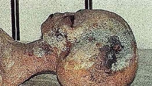 曾震惊世界的外星人照片档案 外星人真实存在！  UFO探討