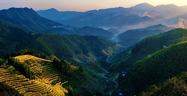 椰樹迎風   Landscape 山水湖林