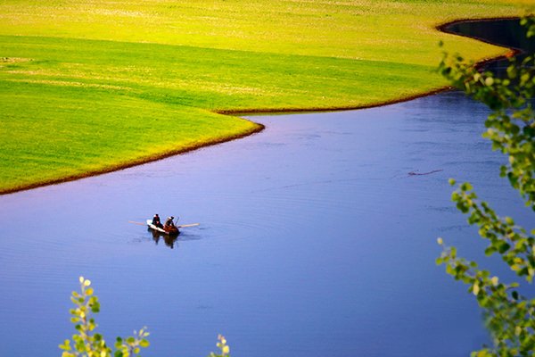 椰樹迎風   Landscape 山水湖林