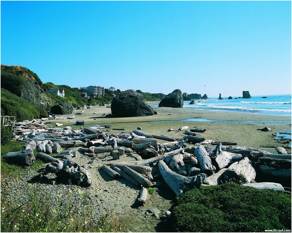 椰樹迎風   Landscape 山水湖林
