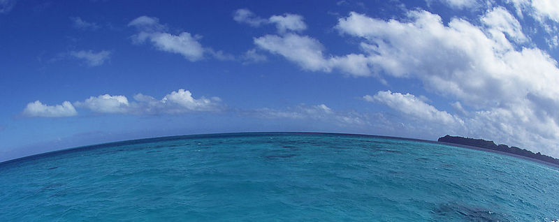 椰樹迎風   Landscape 山水湖林