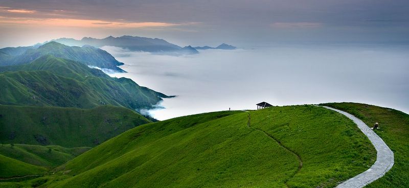 椰樹迎風   Landscape 山水湖林