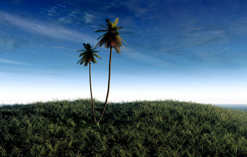  Wallpapers 壁紙图