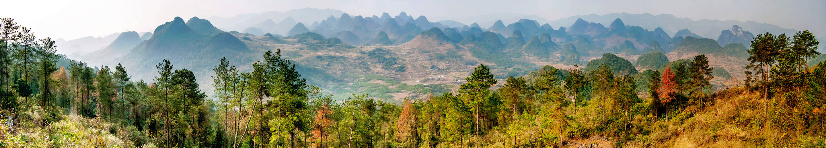 椰樹迎風   Landscape 山水湖林