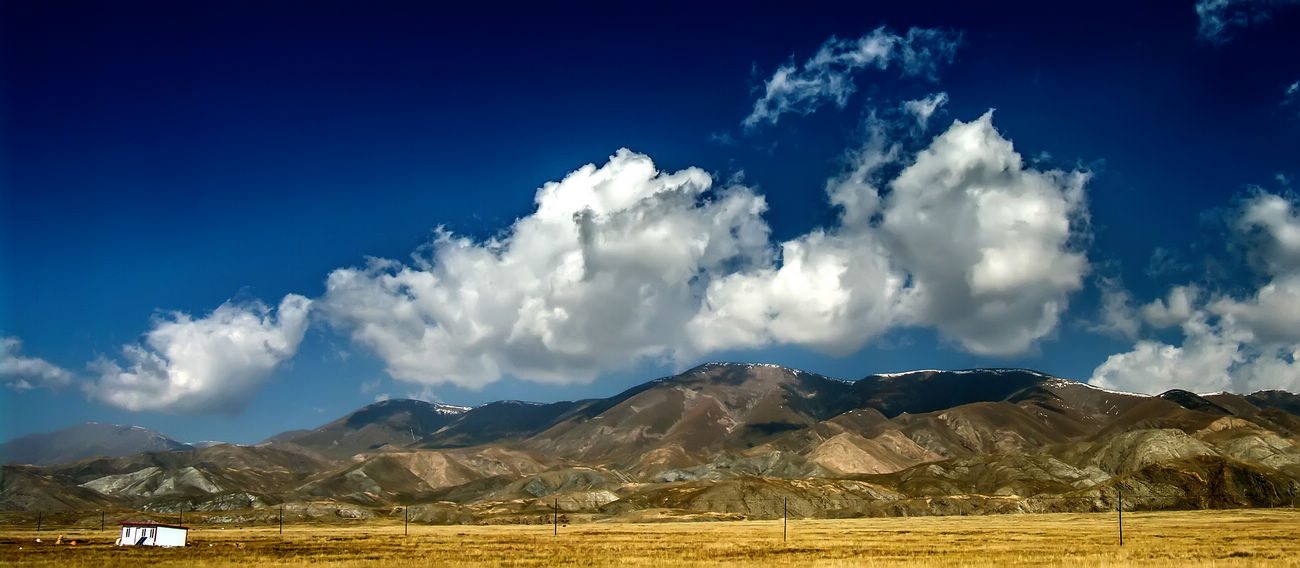 椰樹迎風   Landscape 山水湖林