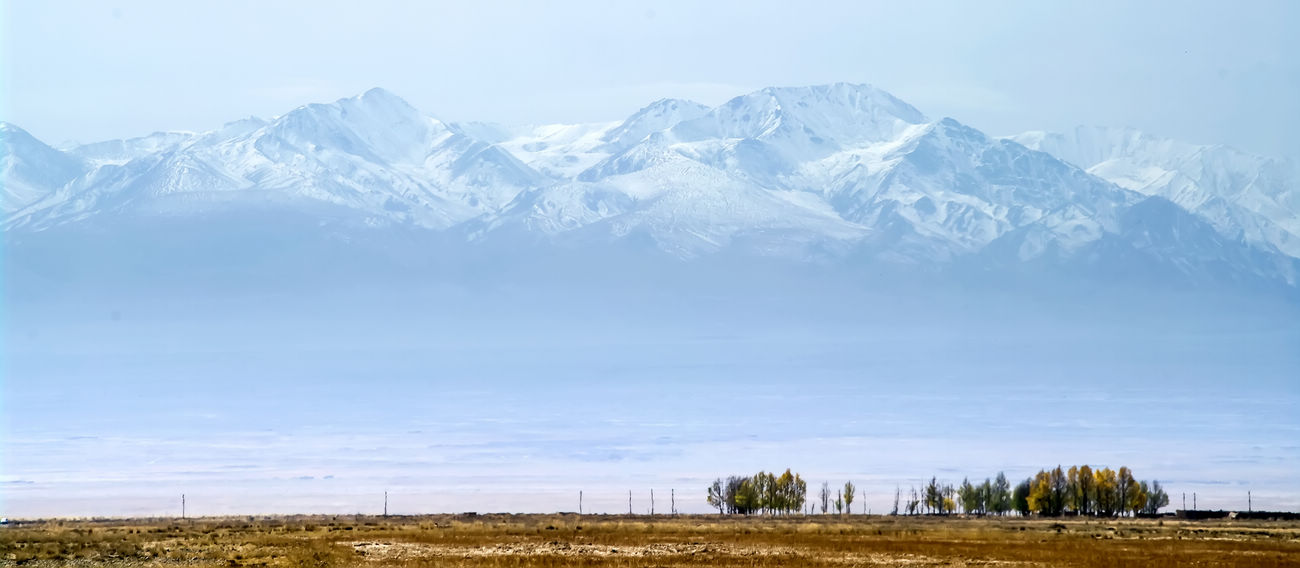 椰樹迎風   Landscape 山水湖林