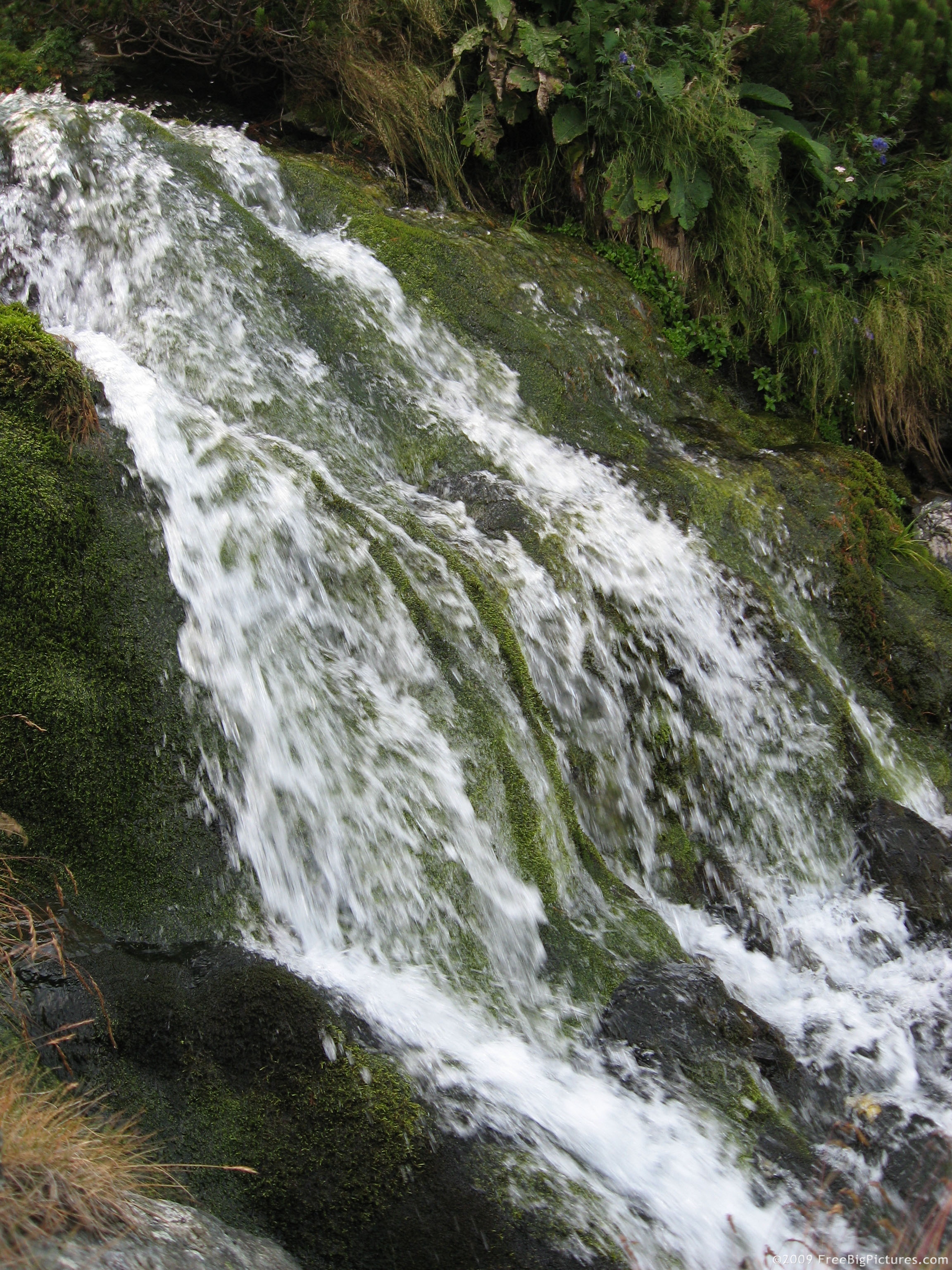河溪水景擁抱清涼   Landscape 山水湖林