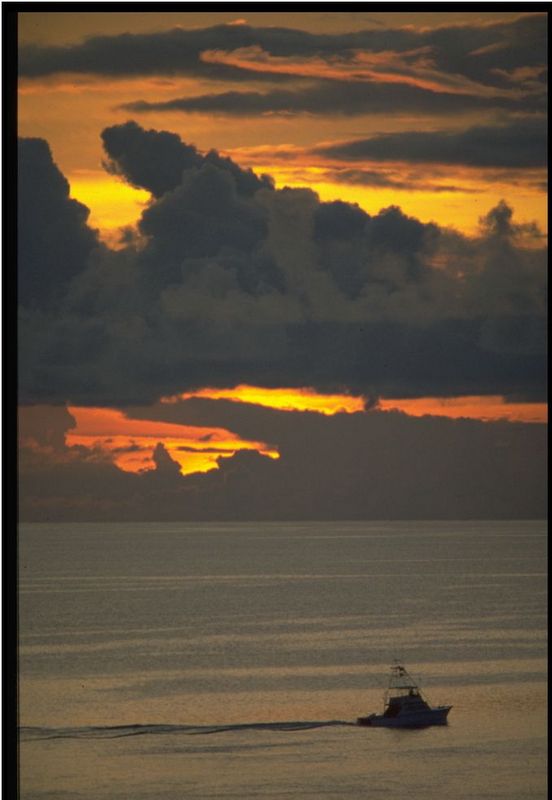 夕阳多景  Sunset 夕陽