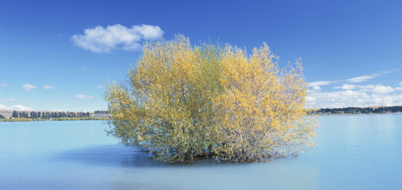 河溪水景擁抱清涼   Landscape 山水湖林