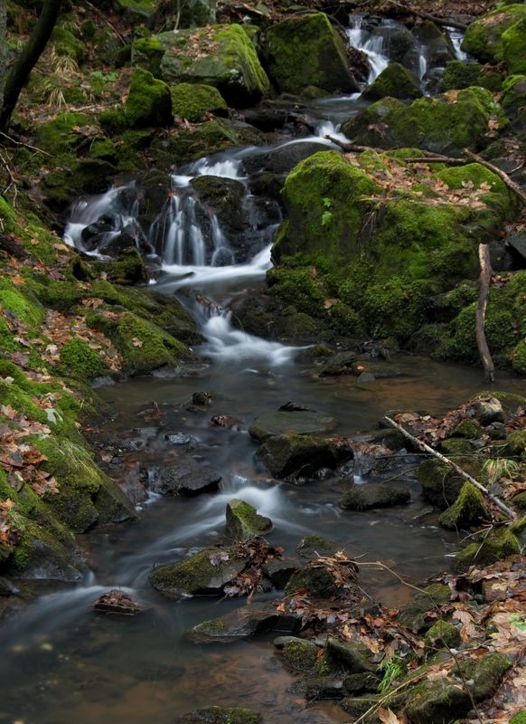 河溪水景擁抱清涼   Landscape 山水湖林