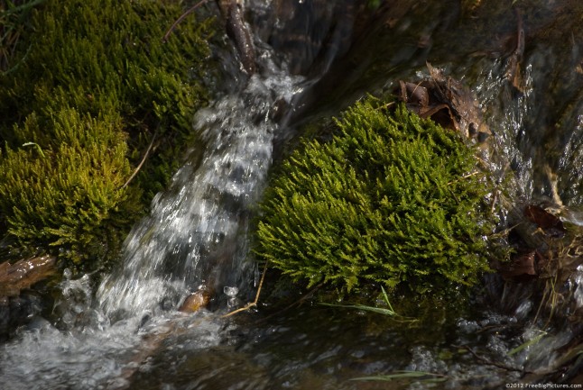 河溪水景擁抱清涼   Landscape 山水湖林