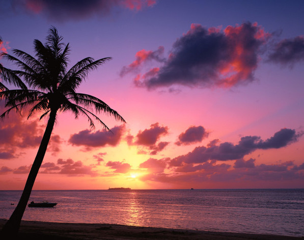   Wallpapers 壁紙图