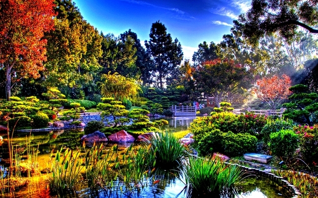   Wallpapers 壁紙图