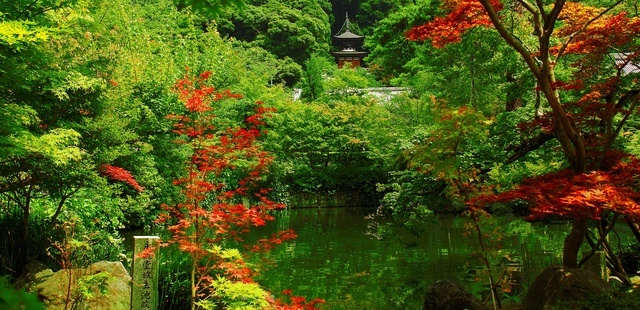 河溪水景擁抱清涼   Landscape 山水湖林