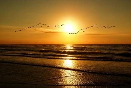 夕阳多景  Sunset 夕陽