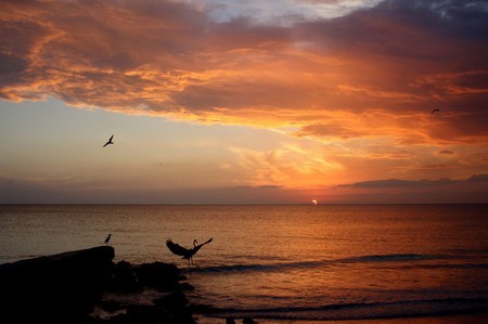 夕阳多景  Sunset 夕陽