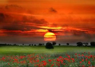 夕阳多景  Sunset 夕陽