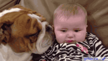 Dog : 我要 Kiss  Kiss 我要咀咀