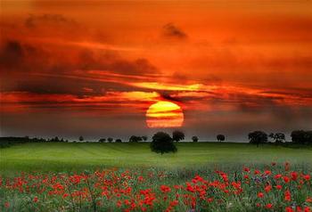   Sunset 夕陽