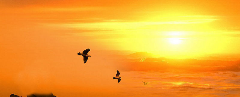 落日在何處  H.K.Sunset 香港夕景