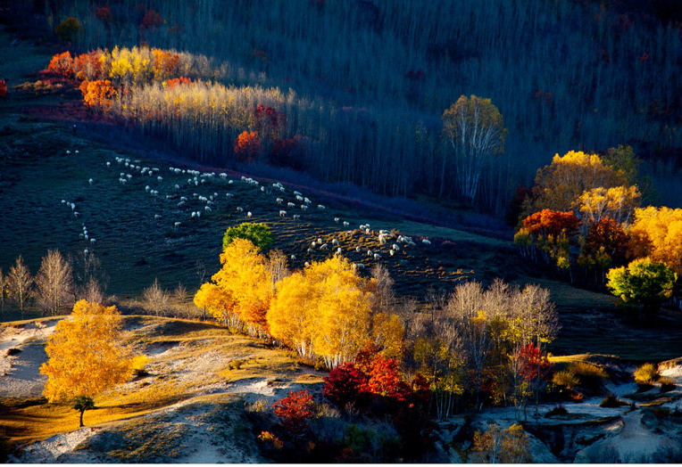 还未遺忘景色   Landscape 山水湖林