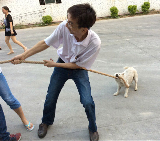 Pig :可做friend 嗎?  Pets 寵物護理 +紀念堂