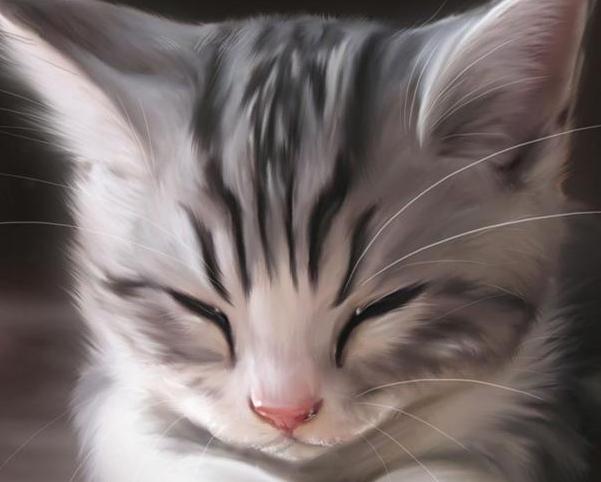   Puppies- cats小狗與猫