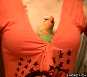   Sexy People 俊男美女  (严禁贴色情)