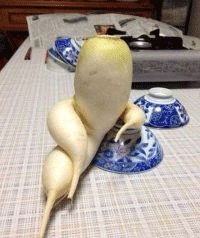 老婆一發火，男人就得躲   一天三笑 + 解悶處