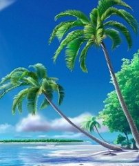   Philosophy of life感悟人生