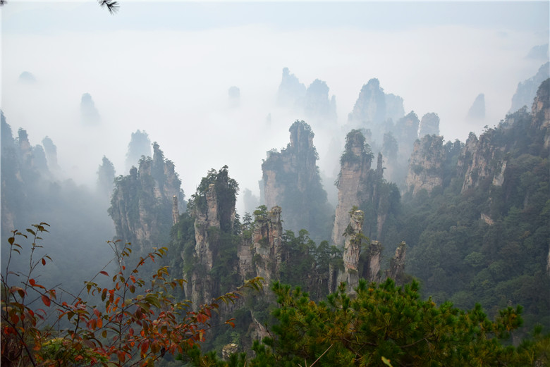 China Tour 中國遊  World Travel 世界旅遊