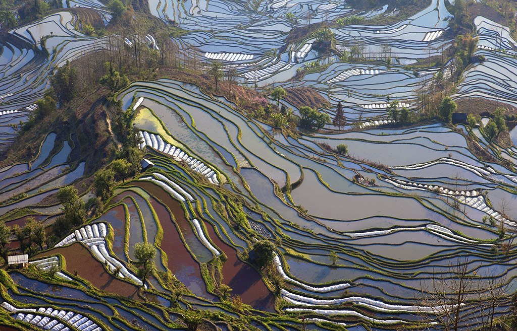    Landscape 山水湖林