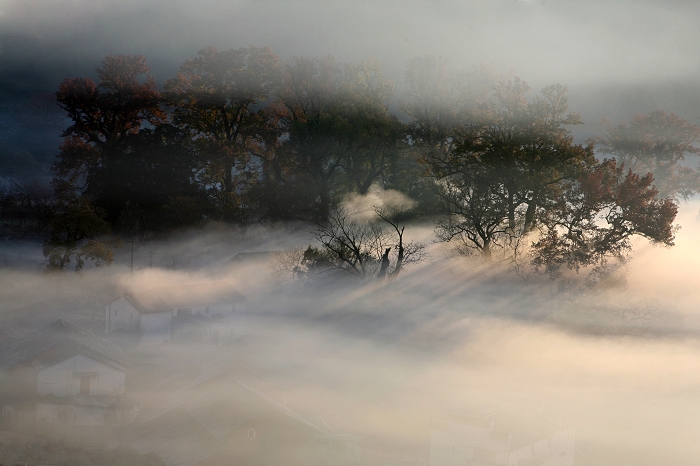 还未遺忘景色   Landscape 山水湖林