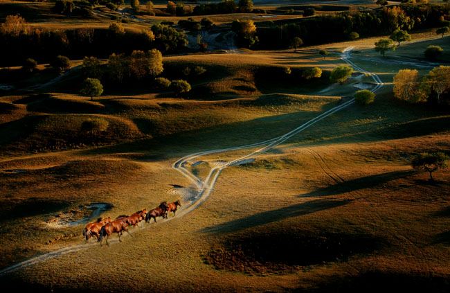 还未遺忘景色   Landscape 山水湖林