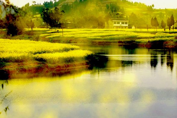 慾望就如一把攀登的階梯  Philosophy of life感悟人生