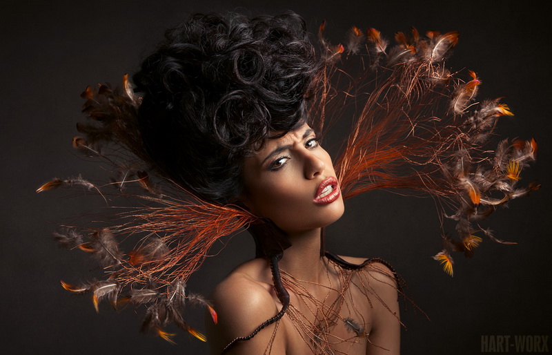 Miss. Rita Ho Evening style for Christmas  Hair Styles+Hair Weaving 織髮
