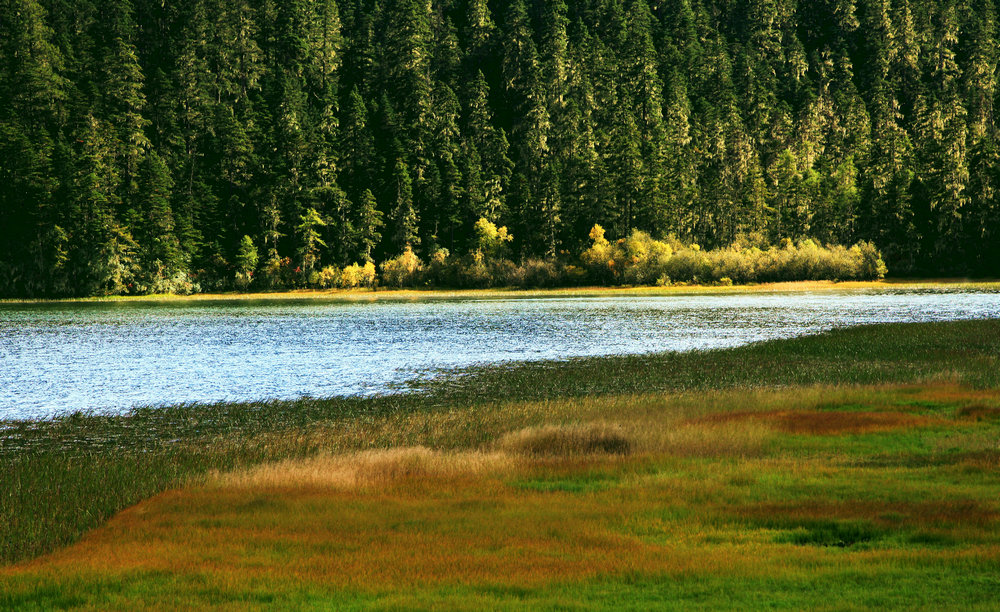 河溪水景擁抱清涼   Landscape 山水湖林