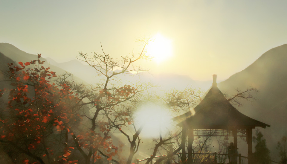 河溪水景擁抱清涼   Landscape 山水湖林