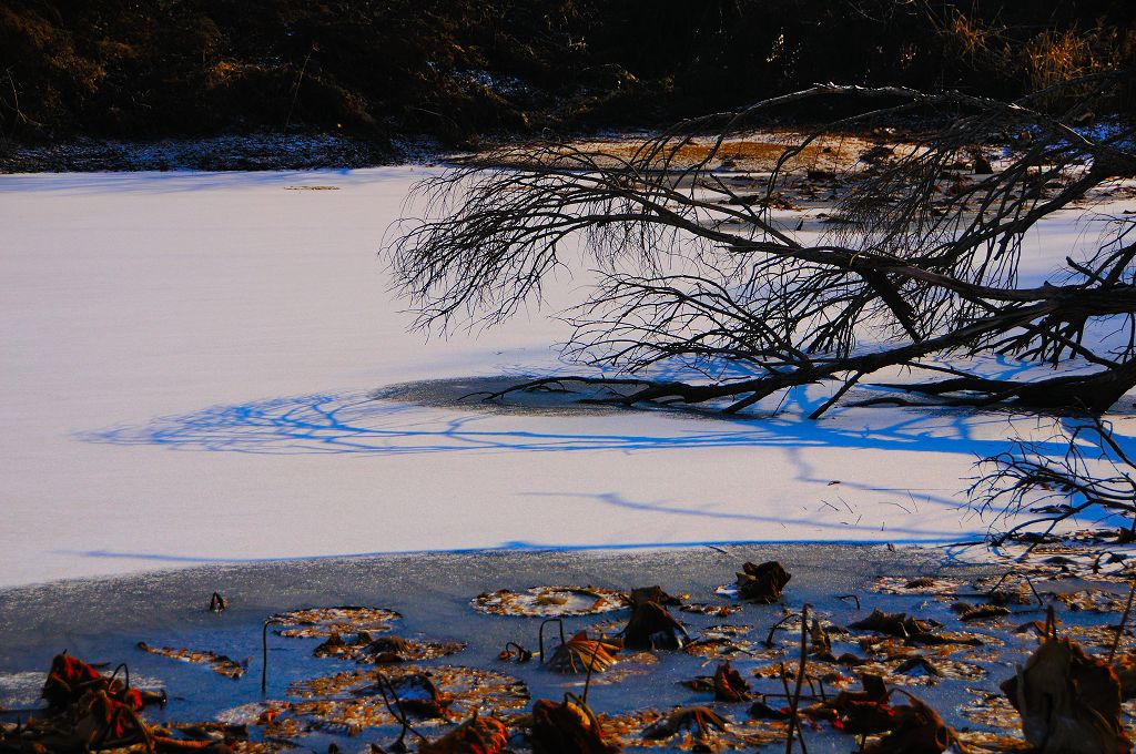 河溪水景擁抱清涼   Landscape 山水湖林