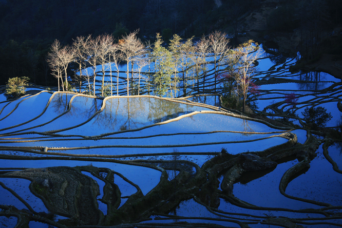 获奖作品  Photography 攝影特區
